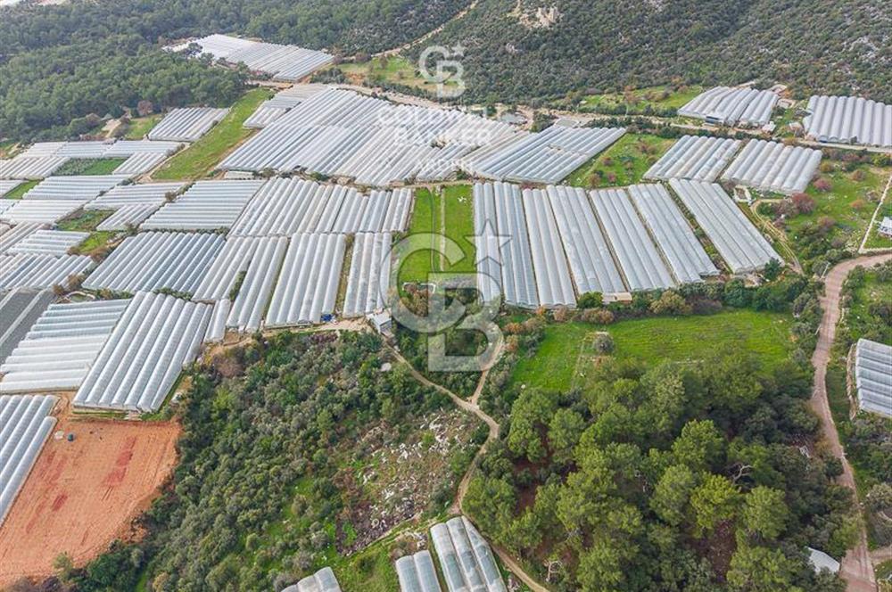 CB ARDENDEN ANTALYA DEMRE BEYMELEKTE SATILIK 6857 M2 TARLA