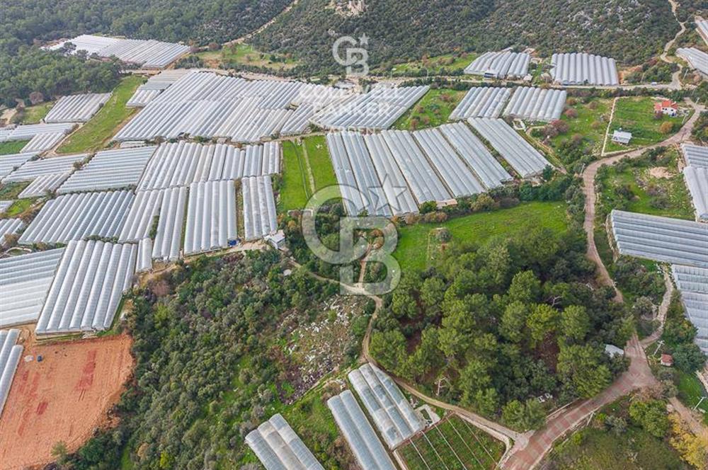 CB ARDENDEN ANTALYA DEMRE BEYMELEKTE SATILIK 6857 M2 TARLA