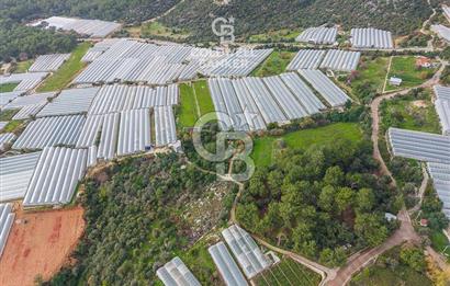 CB ARDENDEN ANTALYA DEMRE BEYMELEKTE SATILIK 6857 M2 TARLA