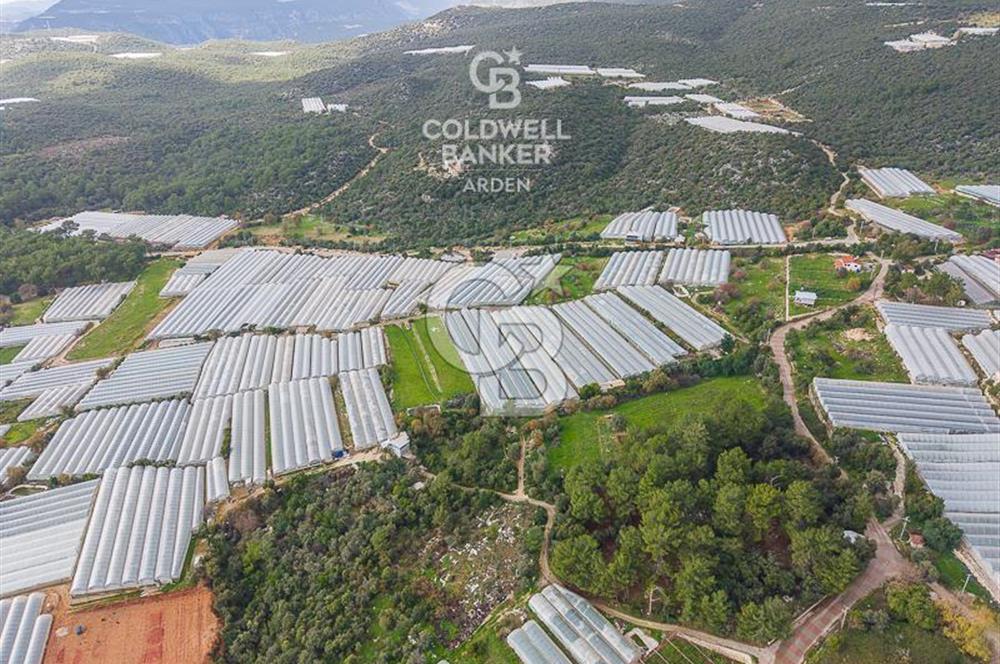 CB ARDENDEN ANTALYA DEMRE BEYMELEKTE SATILIK 6857 M2 TARLA