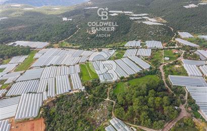 CB ARDENDEN ANTALYA DEMRE BEYMELEKTE SATILIK 6857 M2 TARLA