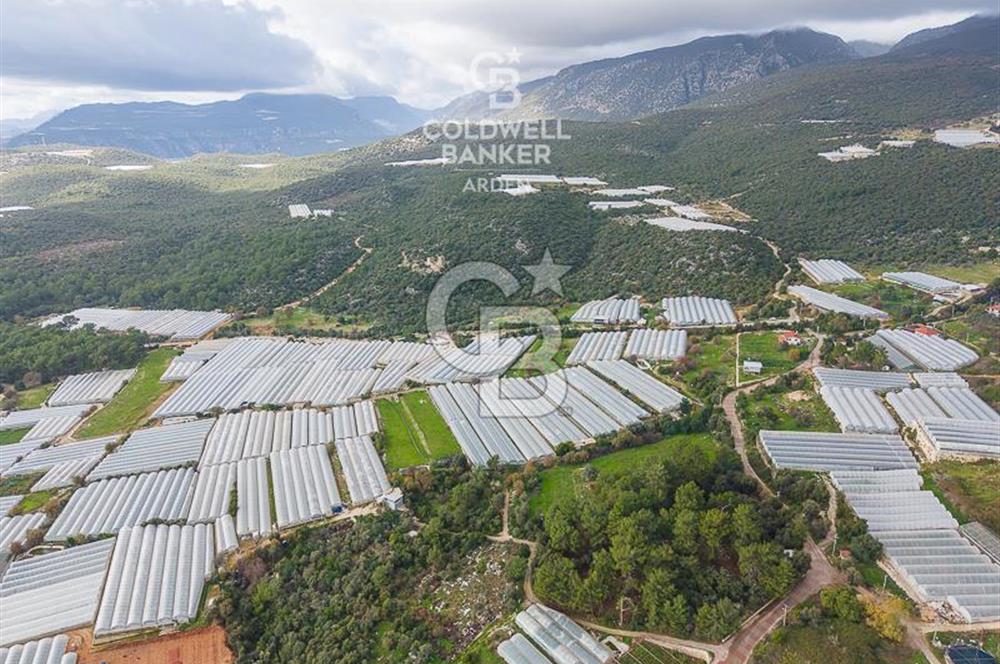 CB ARDENDEN ANTALYA DEMRE BEYMELEKTE SATILIK 6857 M2 TARLA