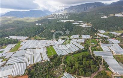 CB ARDENDEN ANTALYA DEMRE BEYMELEKTE SATILIK 6857 M2 TARLA