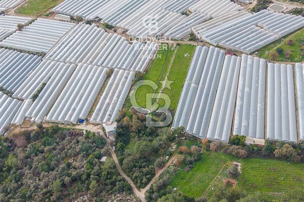 CB ARDENDEN ANTALYA DEMRE BEYMELEKTE SATILIK 6857 M2 TARLA