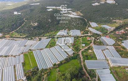 CB ARDENDEN ANTALYA DEMRE BEYMELEKTE SATILIK 6857 M2 TARLA