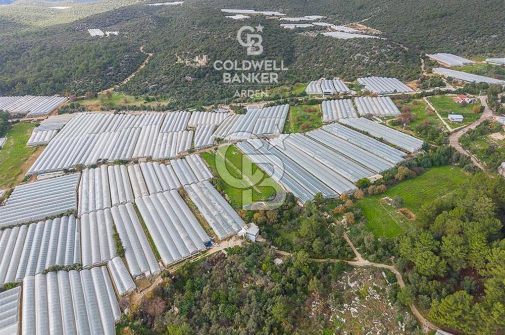 CB ARDENDEN ANTALYA DEMRE BEYMELEKTE SATILIK 6857 M2 TARLA