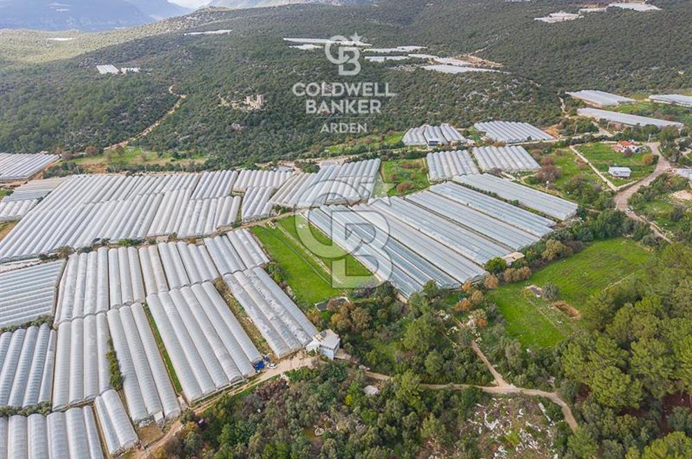 CB ARDENDEN ANTALYA DEMRE BEYMELEKTE SATILIK 6857 M2 TARLA