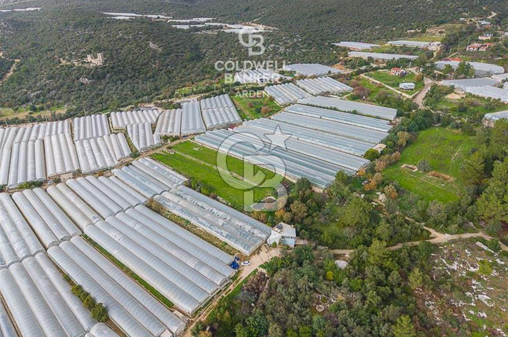 CB ARDENDEN ANTALYA DEMRE BEYMELEKTE SATILIK 6857 M2 TARLA