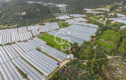 CB ARDENDEN ANTALYA DEMRE BEYMELEKTE SATILIK 6857 M2 TARLA