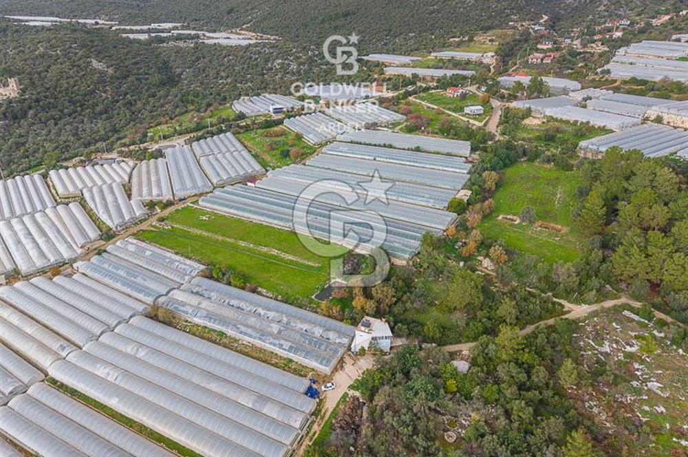 CB ARDENDEN ANTALYA DEMRE BEYMELEKTE SATILIK 6857 M2 TARLA