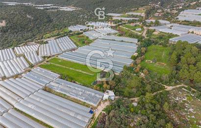 CB ARDENDEN ANTALYA DEMRE BEYMELEKTE SATILIK 6857 M2 TARLA