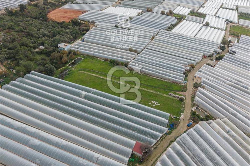 CB ARDENDEN ANTALYA DEMRE BEYMELEKTE SATILIK 6857 M2 TARLA