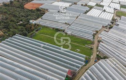 CB ARDENDEN ANTALYA DEMRE BEYMELEKTE SATILIK 6857 M2 TARLA