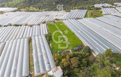 CB ARDENDEN ANTALYA DEMRE BEYMELEKTE SATILIK 6857 M2 TARLA