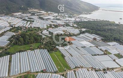 CB ARDENDEN ANTALYA DEMRE BEYMELEKTE SATILIK 6857 M2 TARLA