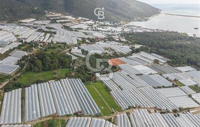 CB ARDENDEN ANTALYA DEMRE BEYMELEKTE SATILIK 6857 M2 TARLA