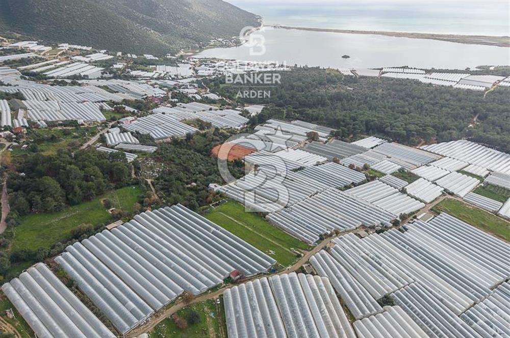 CB ARDENDEN ANTALYA DEMRE BEYMELEKTE SATILIK 6857 M2 TARLA