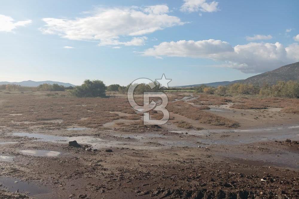 Milas Savran Yatırımlık Uygun Arazi