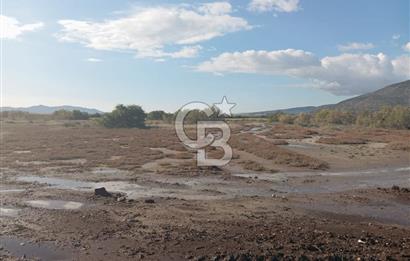 Milas Savran Yatırımlık Uygun Arazi