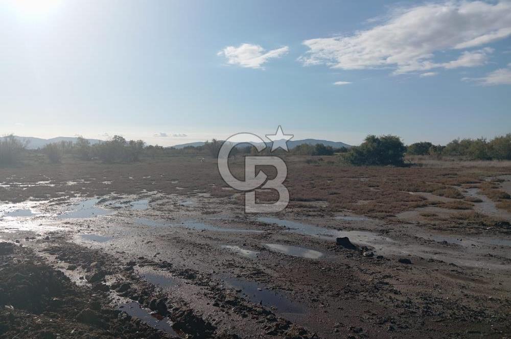 Milas Savran Yatırımlık Uygun Arazi