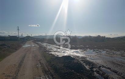 Milas Savran Yatırımlık Uygun Arazi