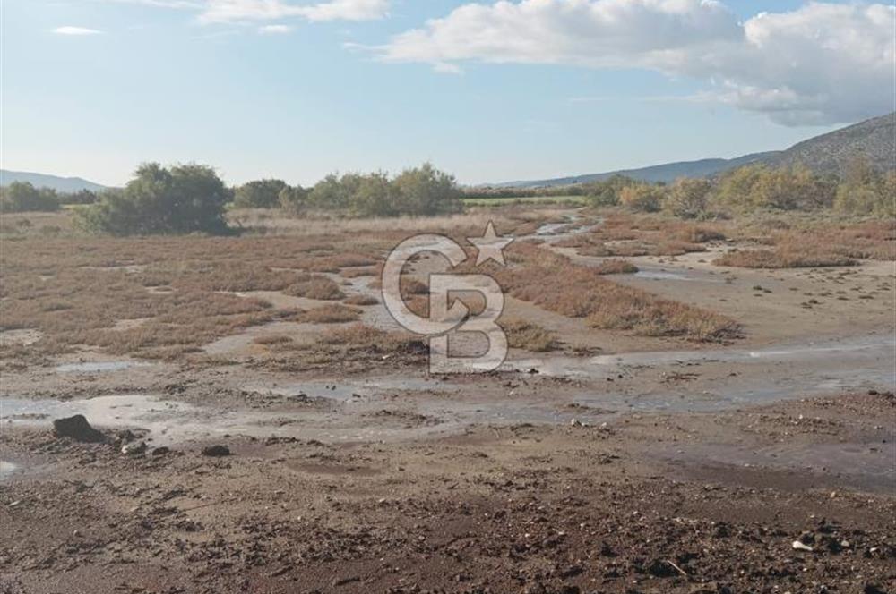 Milas Savran Yatırımlık Uygun Arazi