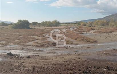 Milas Savran Yatırımlık Uygun Arazi