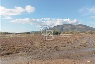 Milas Savran Yatırımlık Uygun Arazi - 1 - 331369