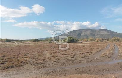 Milas Savran Yatırımlık Uygun Arazi