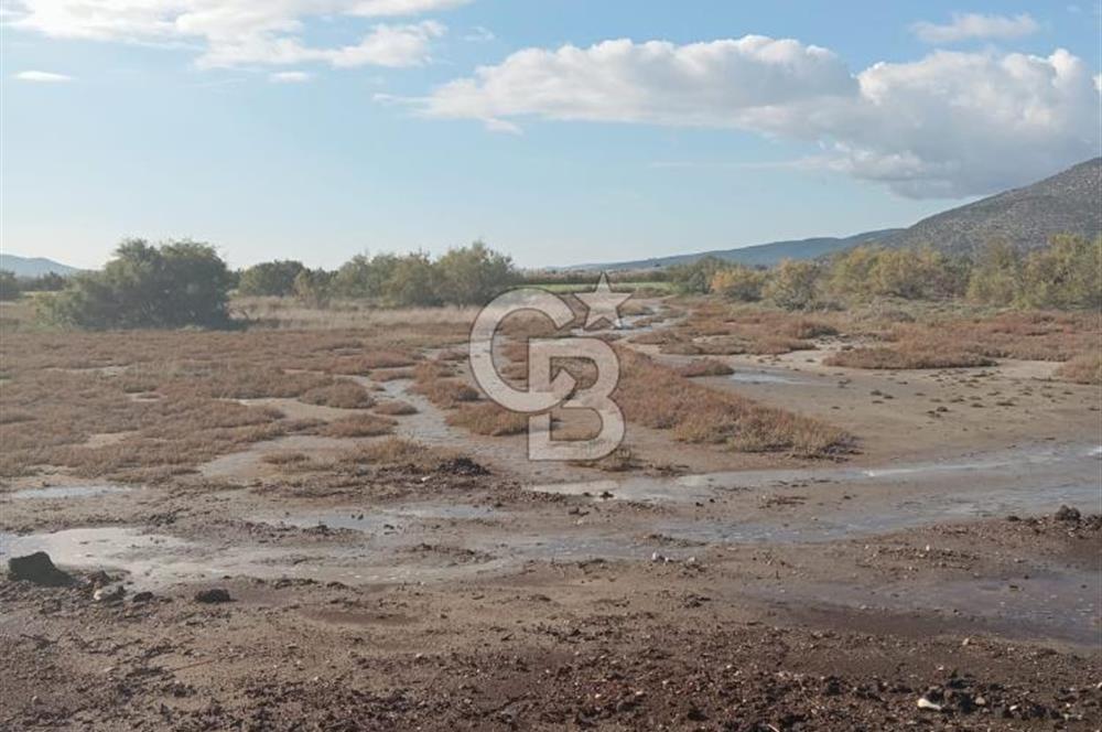 Milas Savran Yatırımlık Uygun Arazi