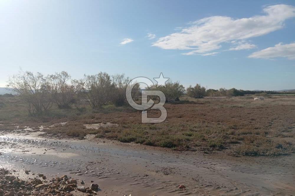 Milas Savran Yatırımlık Uygun Arazi