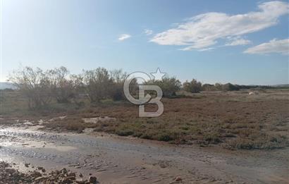 Milas Savran Yatırımlık Uygun Arazi