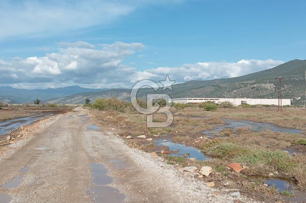 Milas Savran Yatırımlık Uygun Arazi