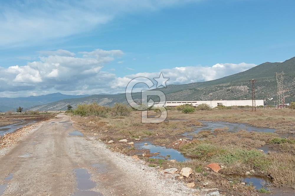 Milas Savran Yatırımlık Uygun Arazi
