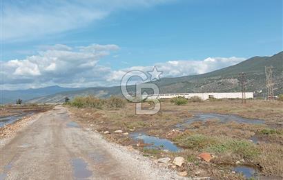 Milas Savran Yatırımlık Uygun Arazi