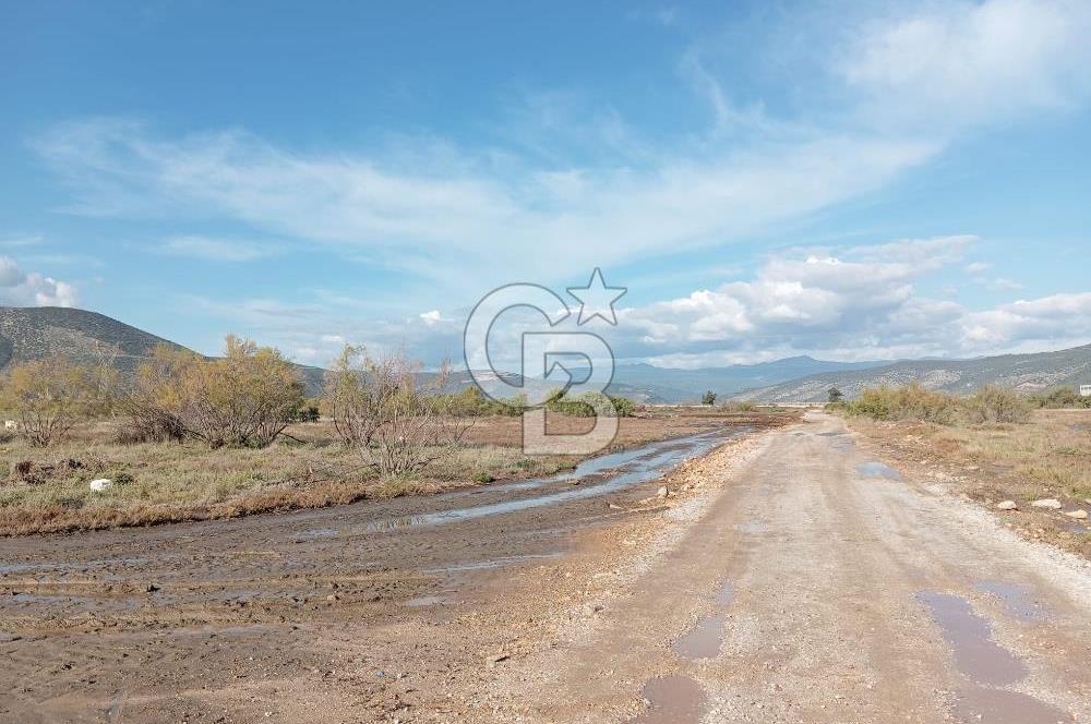 Milas Savran Yatırımlık Uygun Arazi