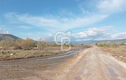 Milas Savran Yatırımlık Uygun Arazi