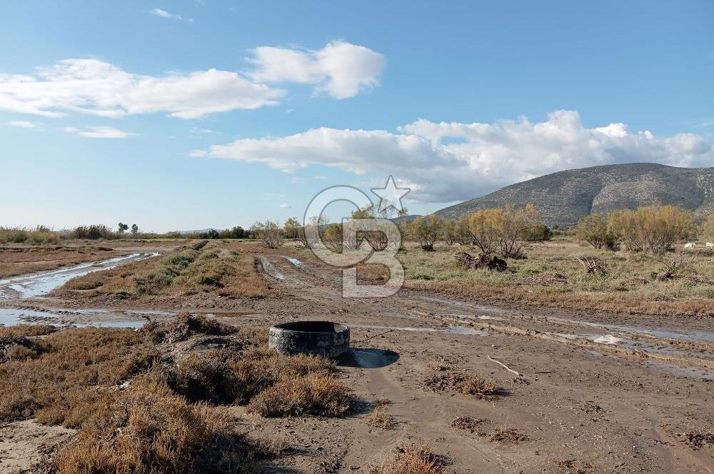 Milas Savran Yatırımlık Uygun Arazi