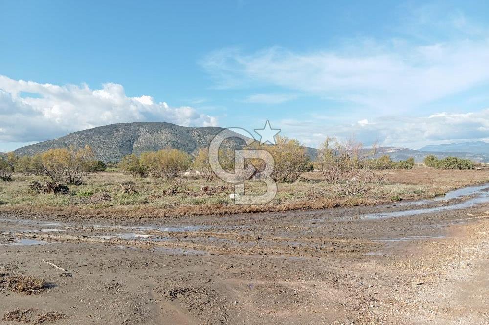 Milas Savran Yatırımlık Uygun Arazi
