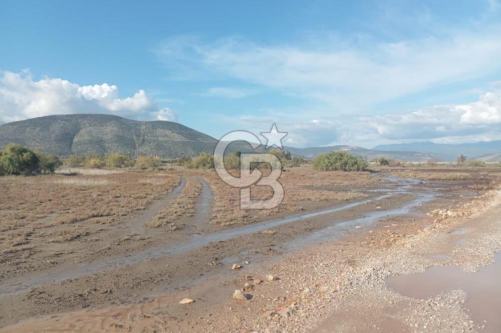 Milas Savran Yatırımlık Uygun Arazi