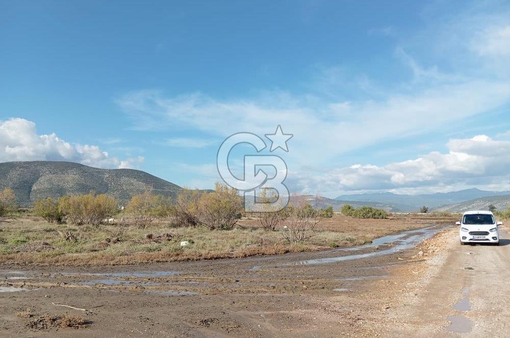 Milas Savran Yatırımlık Uygun Arazi