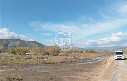 Milas Savran Yatırımlık Uygun Arazi