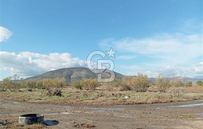 Milas Savran Yatırımlık Uygun Arazi