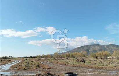 Milas Savran Yatırımlık Uygun Arazi