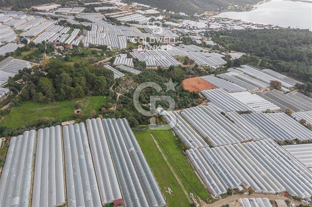 CB ARDENDEN ANTALYA DEMRE BEYMELEKTE SATILIK 6857 M2 TARLA