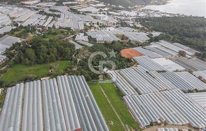 CB ARDENDEN ANTALYA DEMRE BEYMELEKTE SATILIK 6857 M2 TARLA