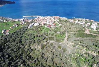 Karaburun Tepeboz Mahallesi'nde Deniz Manzaralı 4117 m² Tarla - 2 - 331366