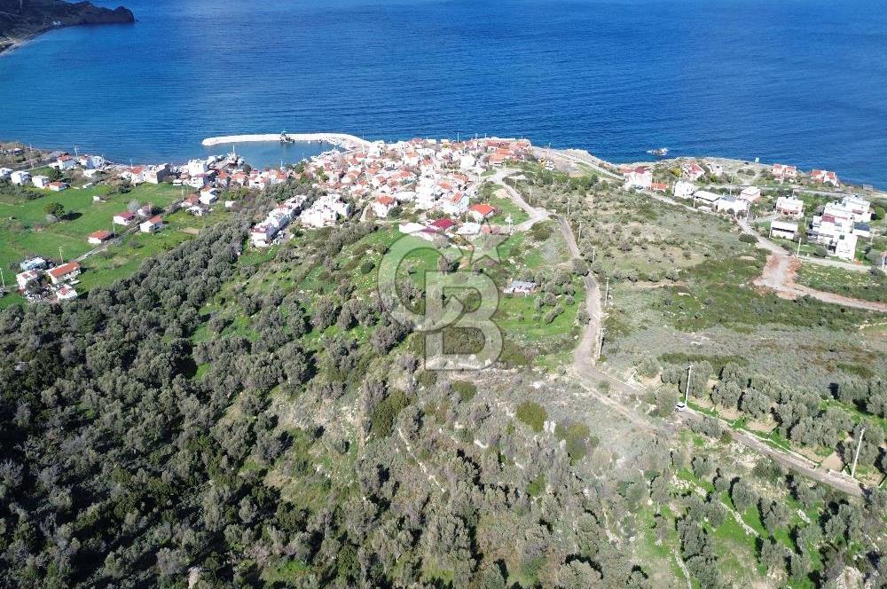Karaburun Tepeboz Mahallesi'nde Deniz Manzaralı 4117 m² Tarla