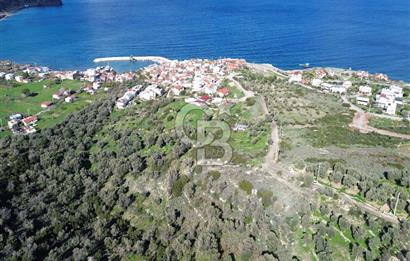 Karaburun Tepeboz Mahallesi'nde Deniz Manzaralı 4117 m² Tarla