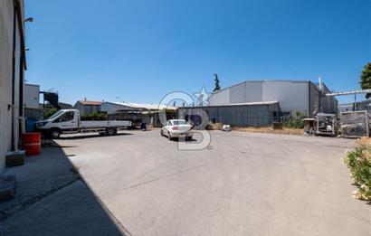 AYOSB de 3.600 m² Arsa 1.400 m² Kapalı Alanlı Kiralık Fabrika